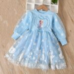 Elsa Princess Dress