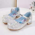 Princess Elsa Shoes